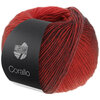CORALLO 5