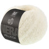 PELLICCIA 1