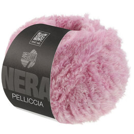 PELLICCIA 14