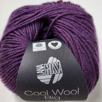 COOL WOOL BIG 1604 (WE CARE)