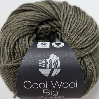 COOL WOOL BIG MELANGE 1629  (WE CARE)