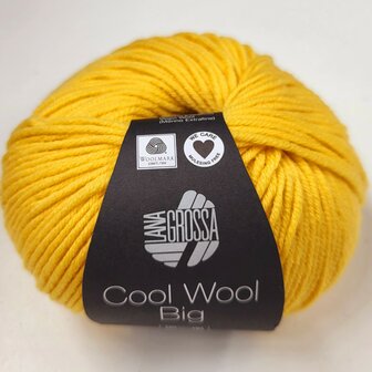 COOL WOOL BIG MELANGE 0958  (WE CARE)