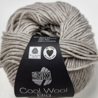 COOL WOOL BIG MELANGE 1626  (WE CARE)