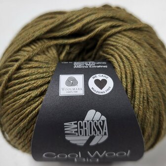 COOL WOOL BIG MELANGE 1610  (WE CARE)