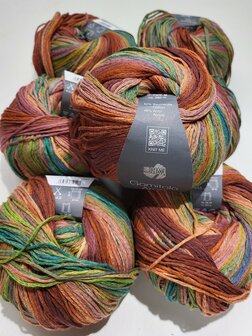 PAKKET 7X LANA GROSSA GOMITOLO ARCO KLEUR 172