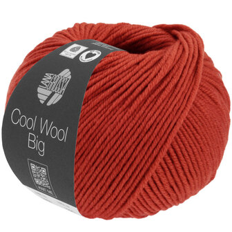 COOL WOOL BIG MELANGE 1628  (WE CARE)