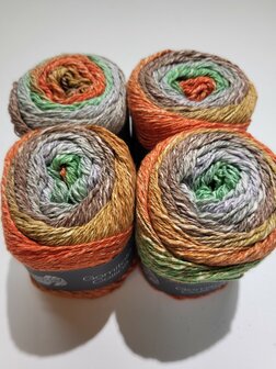 PAKKET LANA GROSSA 4X GOMITOLO COLLINA 1023