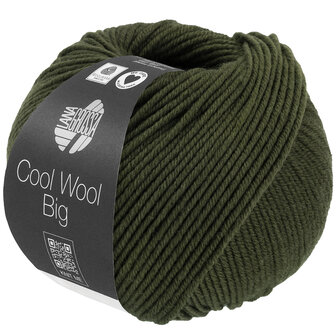 COOL WOOL BIG MELANGE 1695  (WE CARE)