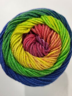 COOL WOOL BIG COLOR 4041