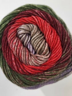 COOL WOOL BIG COLOR 4046