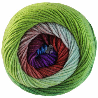 COOL WOOL BIG COLOR 4032