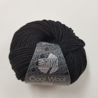 COOL WOOL BIG 627 (WE CARE)