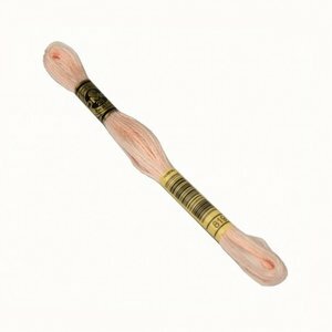 DMC MOULINE KLEUR 0819