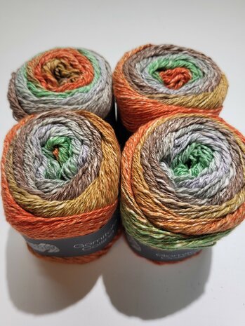 PAKKET LANA GROSSA 4X GOMITOLO COLLINA 1023