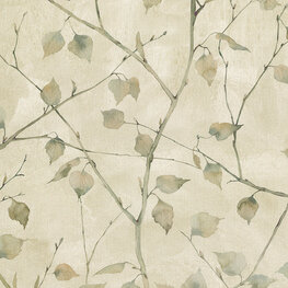 LEAF BRANCH SERENE Half Panama Premium 105 LEAF BRANCH SERENE Half Panama Premium 105