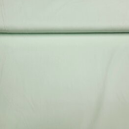 3000-421 KATOEN MINT