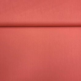 3000-1437 KATOEN KORAAL