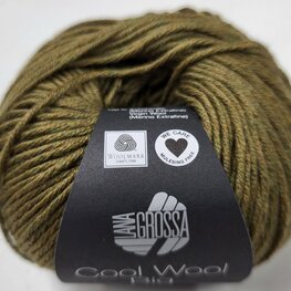 COOL WOOL BIG MELANGE 1610  (WE CARE) COOL WOOL BIG MELANGE 1610  (WE CARE)