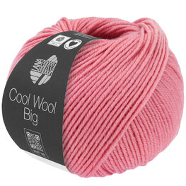 COOL WOOL BIG MELANGE 1631  (WE CARE) COOL WOOL BIG MELANGE 1631  (WE CARE)