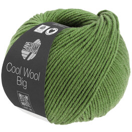 COOL WOOL BIG MELANGE 1634  (WE CARE) COOL WOOL BIG MELANGE 1634  (WE CARE)