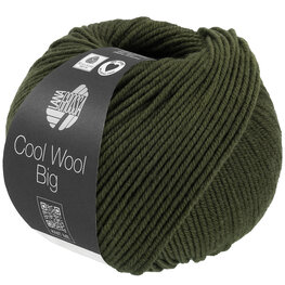 COOL WOOL BIG MELANGE 1695  (WE CARE) COOL WOOL BIG MELANGE 1695  (WE CARE)
