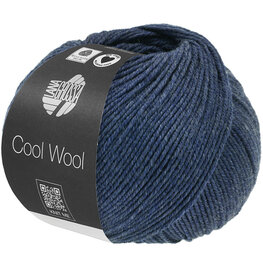 COOL WOOL 1493 (WE CARE) COOL WOOL 1493 (WE CARE)