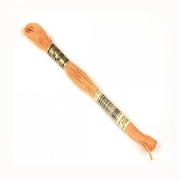 DMC MOULINE KLEUR 0402